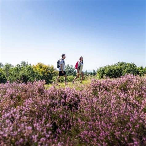 fjordmino|Explore Horsens Fjord in Denmark and walk the famous Fjordmino